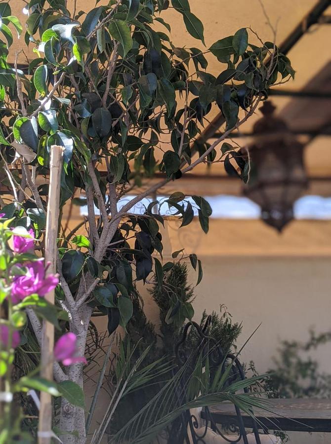 Dar Mehdi Hotel Fez Exterior foto